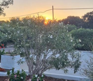 Martina Franca House | Avventure tra i trulli
