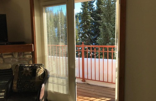 Silver Star Mountain Apartment | Away Days