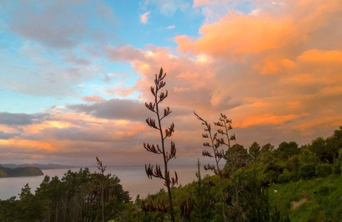 Orua Bay House | Awhitu Paradise - The best view on the Peninsula