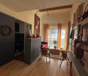 Ax-les-Thermes Apartment | Ax 3 Domaines Plateau de Bonascre Charmant duplex face aux pistes avec terrasse