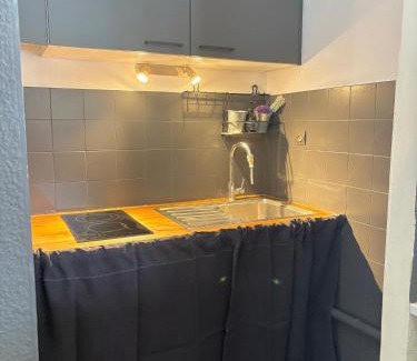 Ax-les-Thermes Apartment | Ax 3 Domaines Plateau de Bonascre Charmant duplex face aux pistes avec terrasse