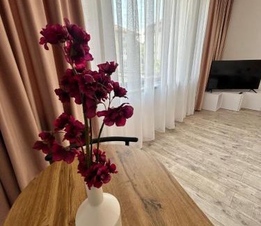 Oradea Apartment | Axon Apartments