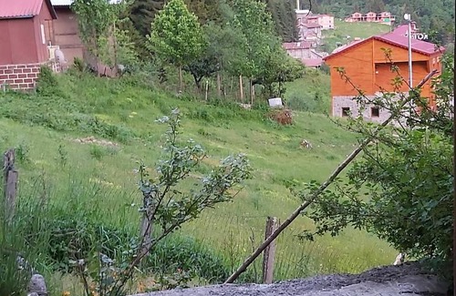 Ayder Yaylasi Hotel | Ayder Liligum Dağ Evi
