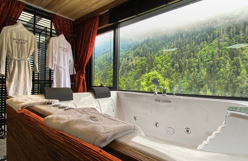 Ayder Yaylasi Hotel | Ayder Villa de Pelit Hotel