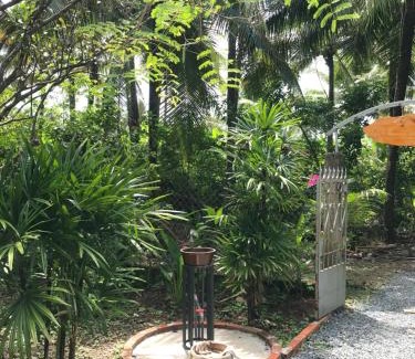 Chau Thanh House | Bến Tre Homestay