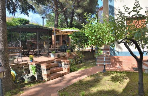 Mascalucia Bed & Breakfast | B&B Betulla dell'Etna