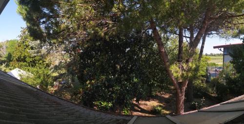 Porto Santa Margherita Bed & Breakfast | B&B Cà d'Artisti