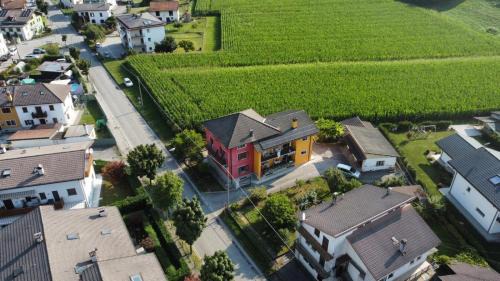 Visome Bed & Breakfast | B&B Colli's Dolomites