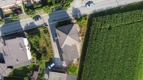 Visome Bed & Breakfast | B&B Colli's Dolomites