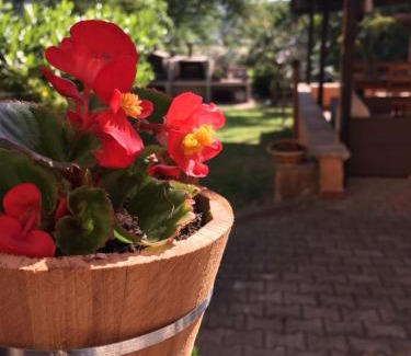 Guzman Bed & Breakfast | B&B Dell'Annunziata