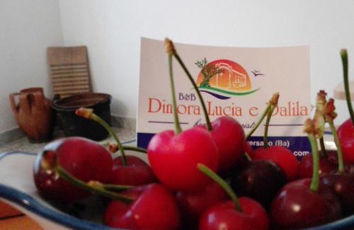 Conversano Bed & Breakfast | B&B Dimora Lucia e Dalila
