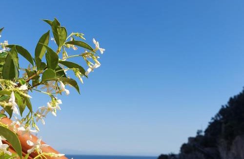 Cetara Bed & Breakfast | B&B Domus San Pietro