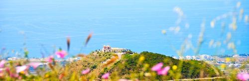 Arenas Bed & Breakfast | B&B El Pajarero