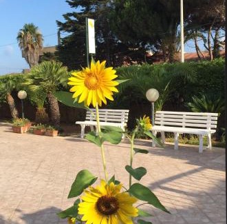 Caucana-finaiti-casuzze-finaiti Nord Bed & Breakfast | B&B Fiori Gialli Caucana