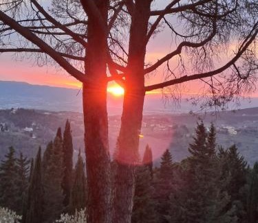 Fiesole Bed & Breakfast | B&B La Dimora di Alida