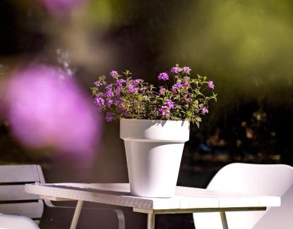 Castiglione della Pescaia Bed & Breakfast | B&B La Locandiera