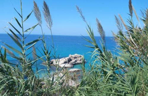 Santa Domenica Bed & Breakfast | B&B La Petite Maison