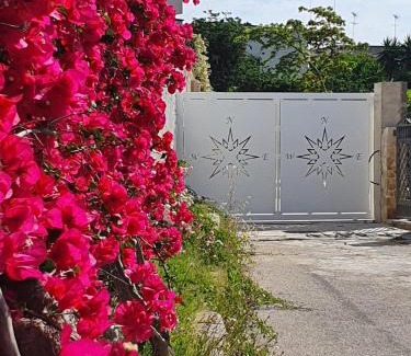 Brindisi Bed & Breakfast | B&B La Rosa dei Venti