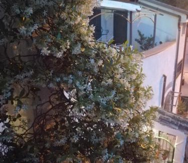 Salerno Bed & Breakfast | B&B Moscani