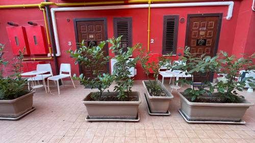 Avellino Apartment | B&B Moscati home