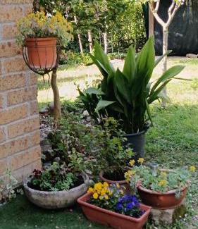 Vaccarolo Bed & Breakfast | B&B Porte Rosse