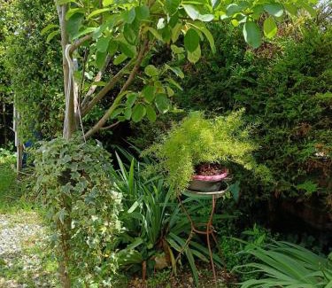 Vaccarolo Bed & Breakfast | B&B Porte Rosse