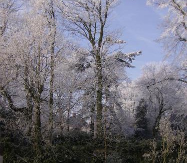 Historical Center Bruges Bed & Breakfast | B&B Speelmansrei