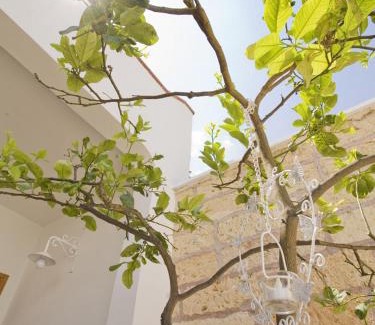 Campi Salentina Bed & Breakfast | B&B Virò