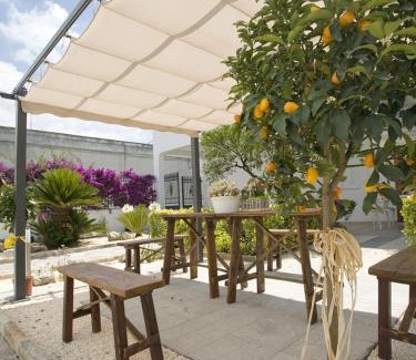 Campi Salentina Bed & Breakfast | B&B Virò