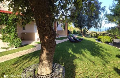 Peschici Bed & Breakfast | B&B Volver
