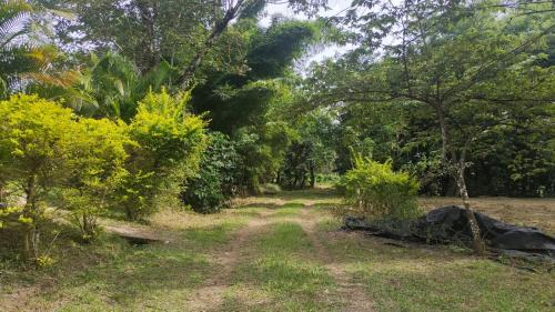 Virarajendrapet House | B C Home Stay