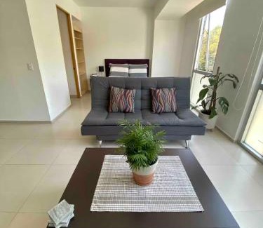 Cuauhtemoc Apartment | B204 - 1BR - 1BTh