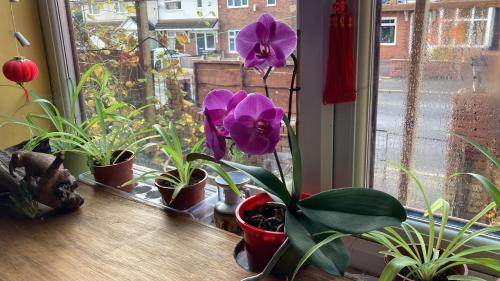 Ashton-under-Lyne Bed & Breakfast | B3-Jacks Court
