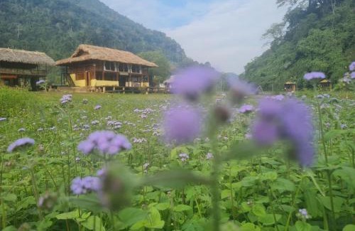 Nam Mau Cabin | Ba Be Retreat