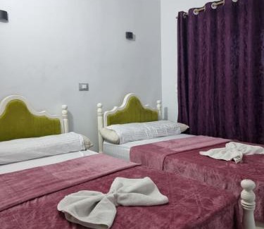 Aswan Bed & Breakfast | Baba Dool