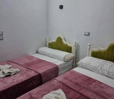 Aswan Bed & Breakfast | Baba Dool