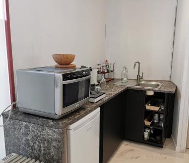 Vogelzang Apartment | BackPackers GELIJKVLOERS-Studio-Slaapkamer-Eetkamer-Keuken 1 ruimte-badkamer en-suite