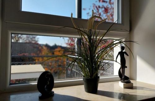Bad Aibling Apartment | Bad Aibling City Apartment - Alpenblick