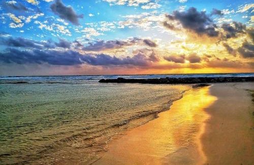 Akumal Apartment | Bahia Principe & Golf Residences (Terrazas Condo)