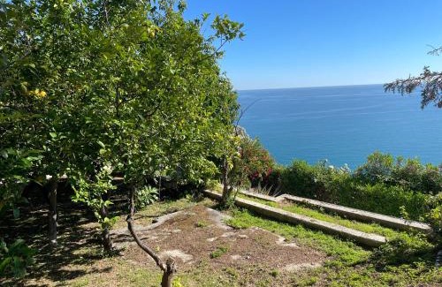 Peschici Bed & Breakfast | Baia Scirocco Bed and Breakfast