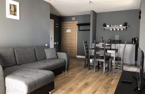 Bakuriani Apartment | Bakuriani Apartment Hotel With An Amazing View