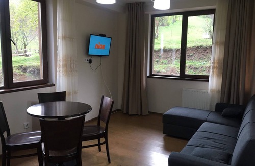 Bakuriani Apartment | Bakuriani cheap apartment in ski resort