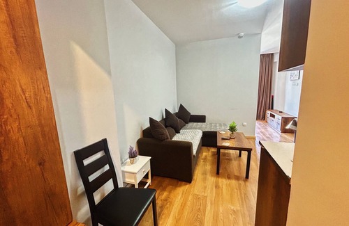 Bakuriani Apartment | Bakuriani Snowflake (The Valley)