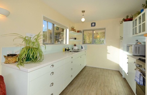 Dunedin House | Baldwin Street BNB