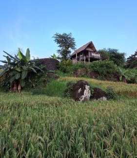 Suraberata Villa | Bali Beach Eco Villas Bali Batu Beach Hut