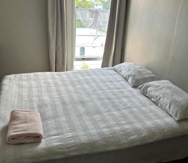 Dunedin City Centre House | Ballymena House