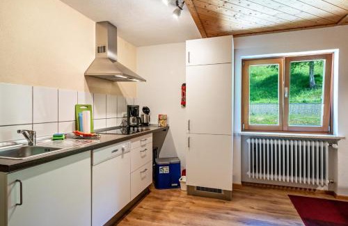 Weiler-Simmerberg Apartment | Balzerberg