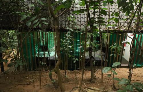 Hatton Resort | Bamboo Cabana Adams Peak