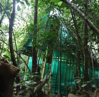 Hatton Resort | Bamboo Cabana Adams Peak