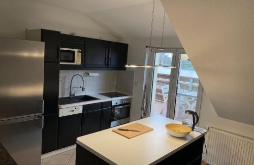 Radebeul Apartment | Bambus, Jungle, Dachterrasse & bequem bis Zentrum